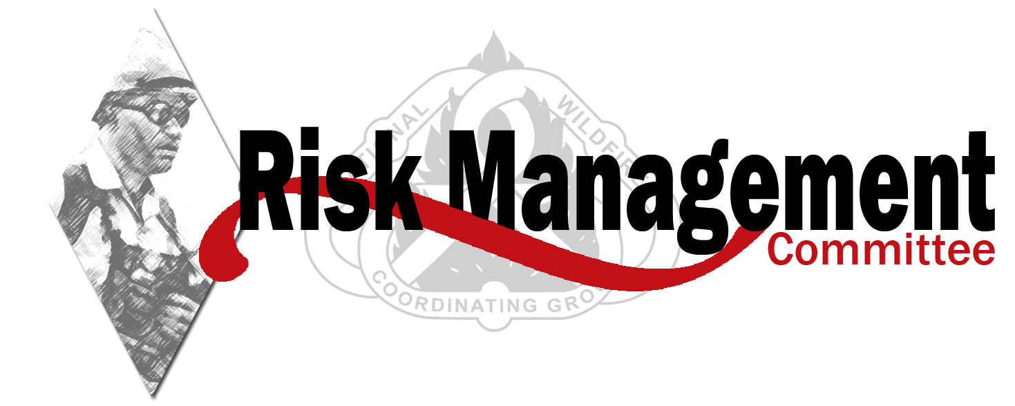 Risk Management Committee